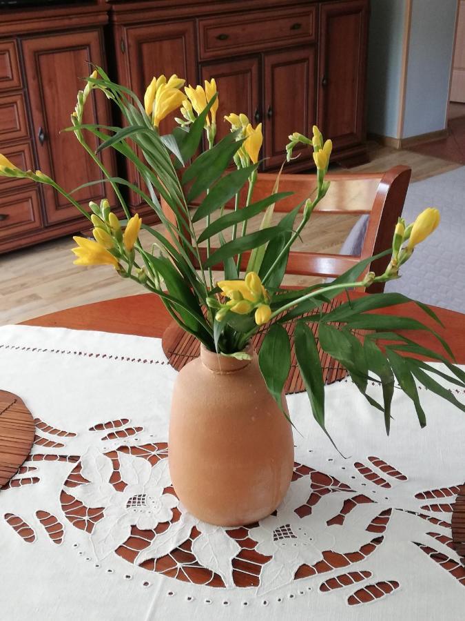 Apartament Classic Apartment Malbork Luaran gambar